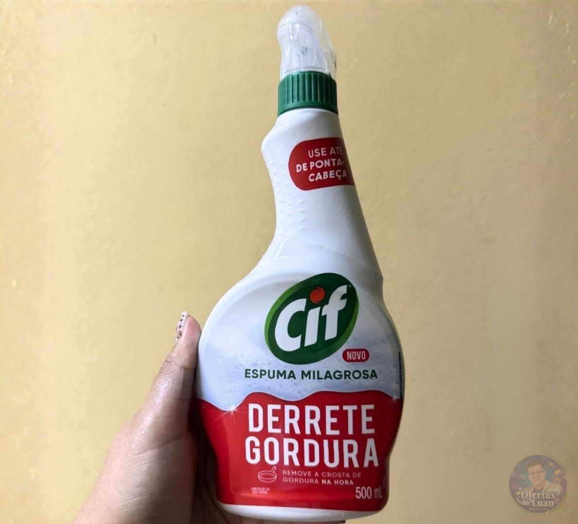 🫧 Cif Limpador Especialista Derrete Gordura 500ml